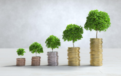 Why Asset Allocation Matters for Long-Term Investing
